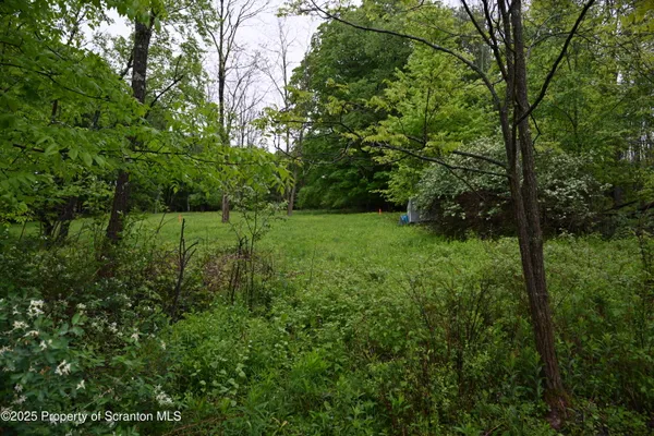 a view of an outdoor space and a yard