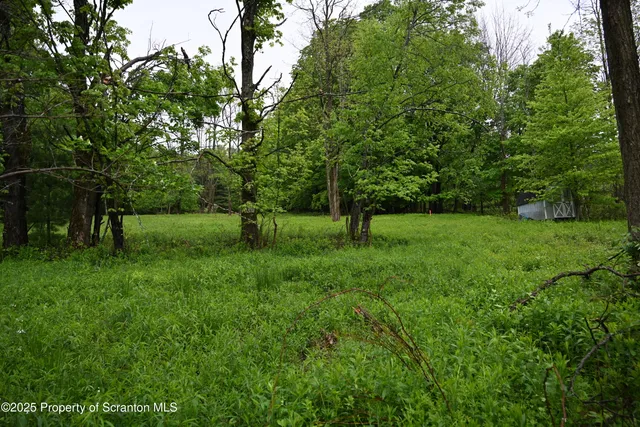 a view of green field with trees in the background