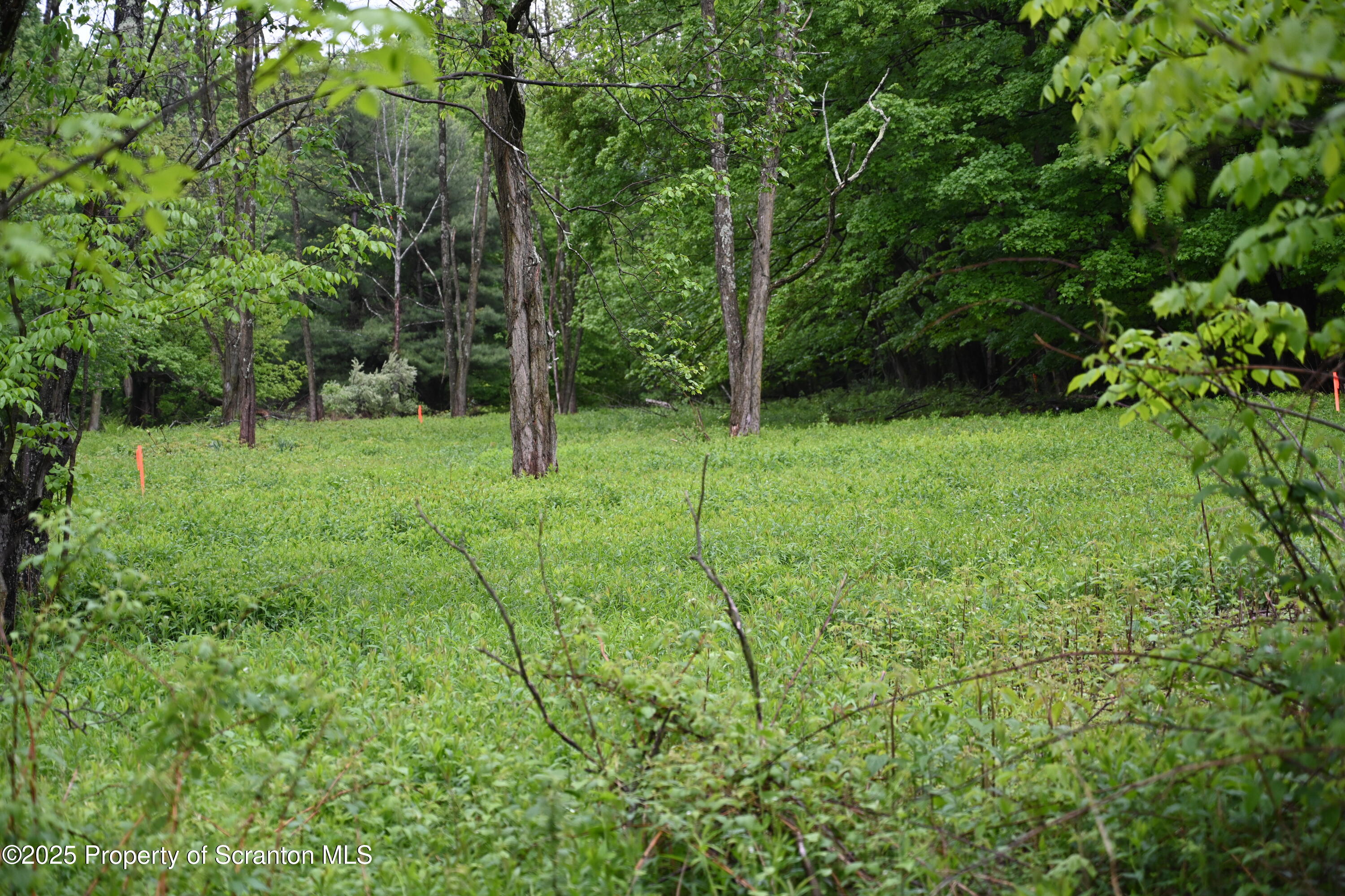 65 Reagan Road Brackney, PA 18812 - Photo 9 of 15 a view of a garden with plants