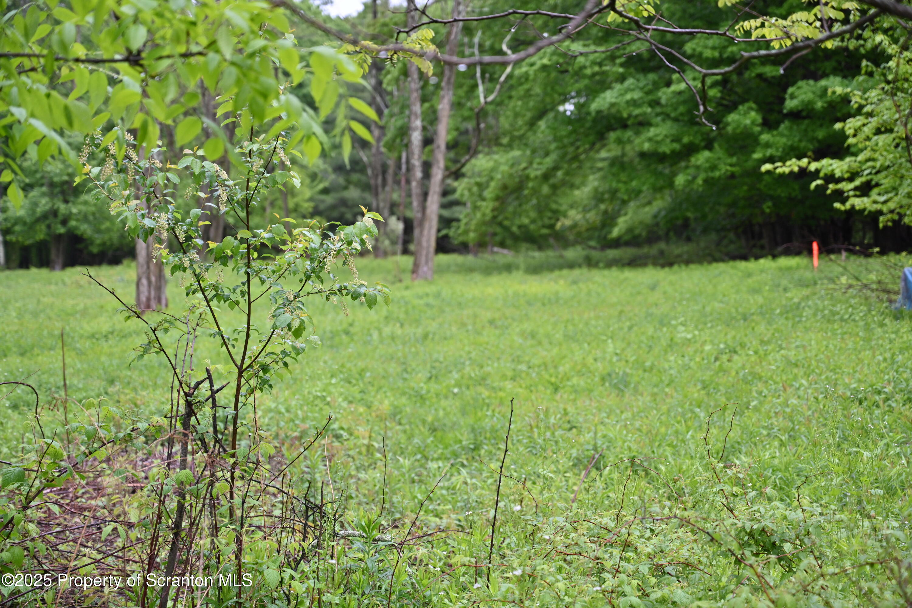 65 Reagan Road Brackney, PA 18812 - Photo 10 of 15 a view of a garden