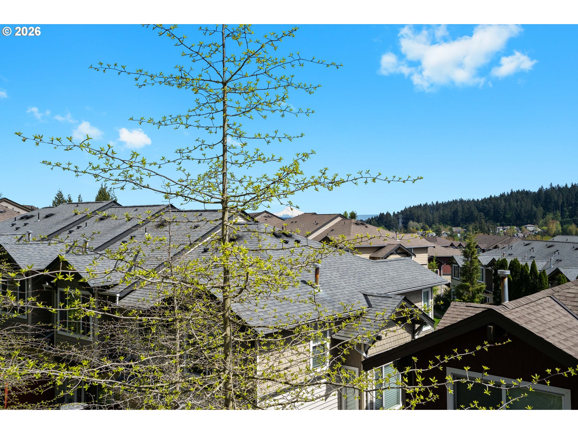 15465 Southwest Sparrow Loop, Unit 104 Beaverton, OR 97007 - Photo 9 of 40