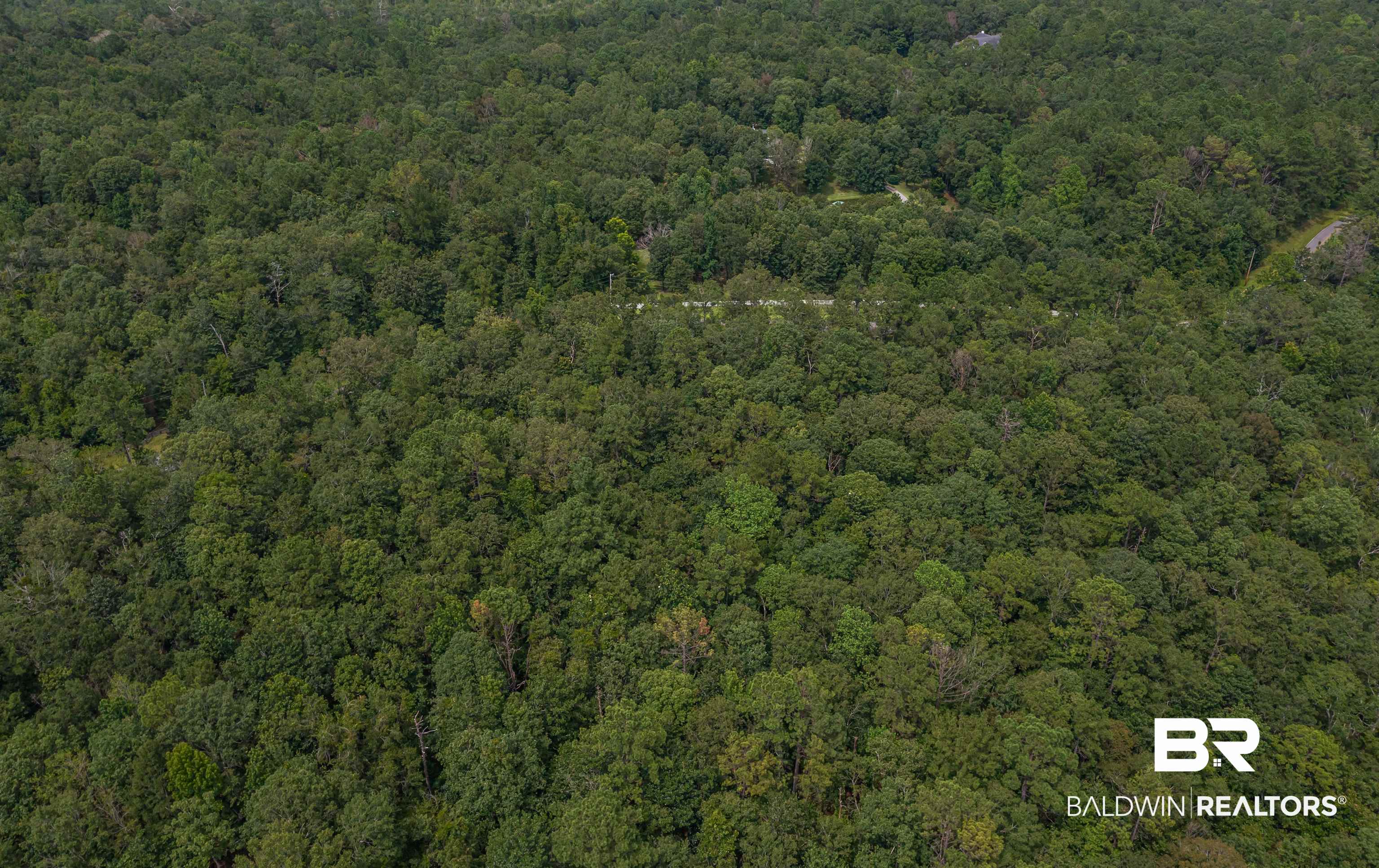0 Patricks Ldg Road Bay Minette, AL 36507 - Photo 5 of 13
