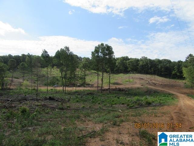 550 Davis Acres Drive, Unit 15 Alpine, AL 35014 - Photo 14 of 48