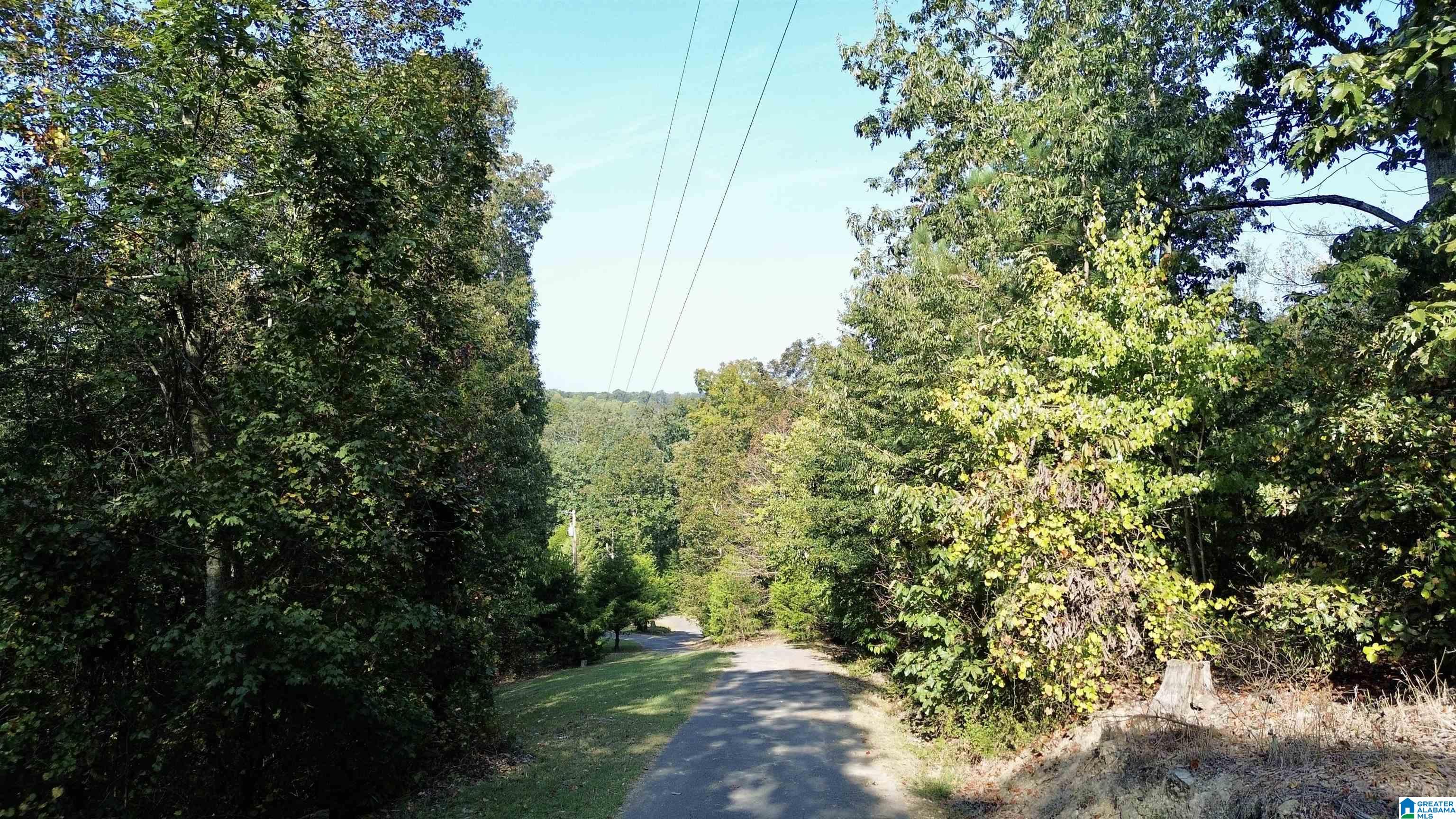 2055 Gum Pond Road Eva, AL 35621 - Photo 62 of 64