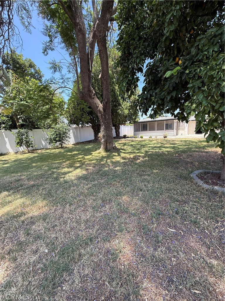 455 East Wilson Street Rialto, CA 92376 - Photo 17 of 20 Backyard.