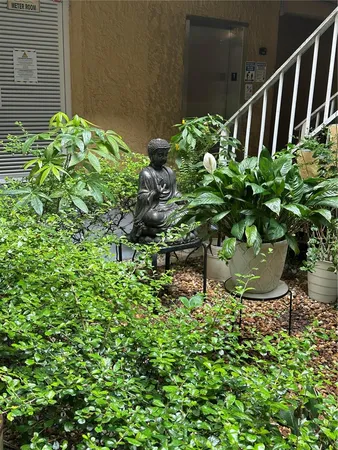 a plant that is in a garden