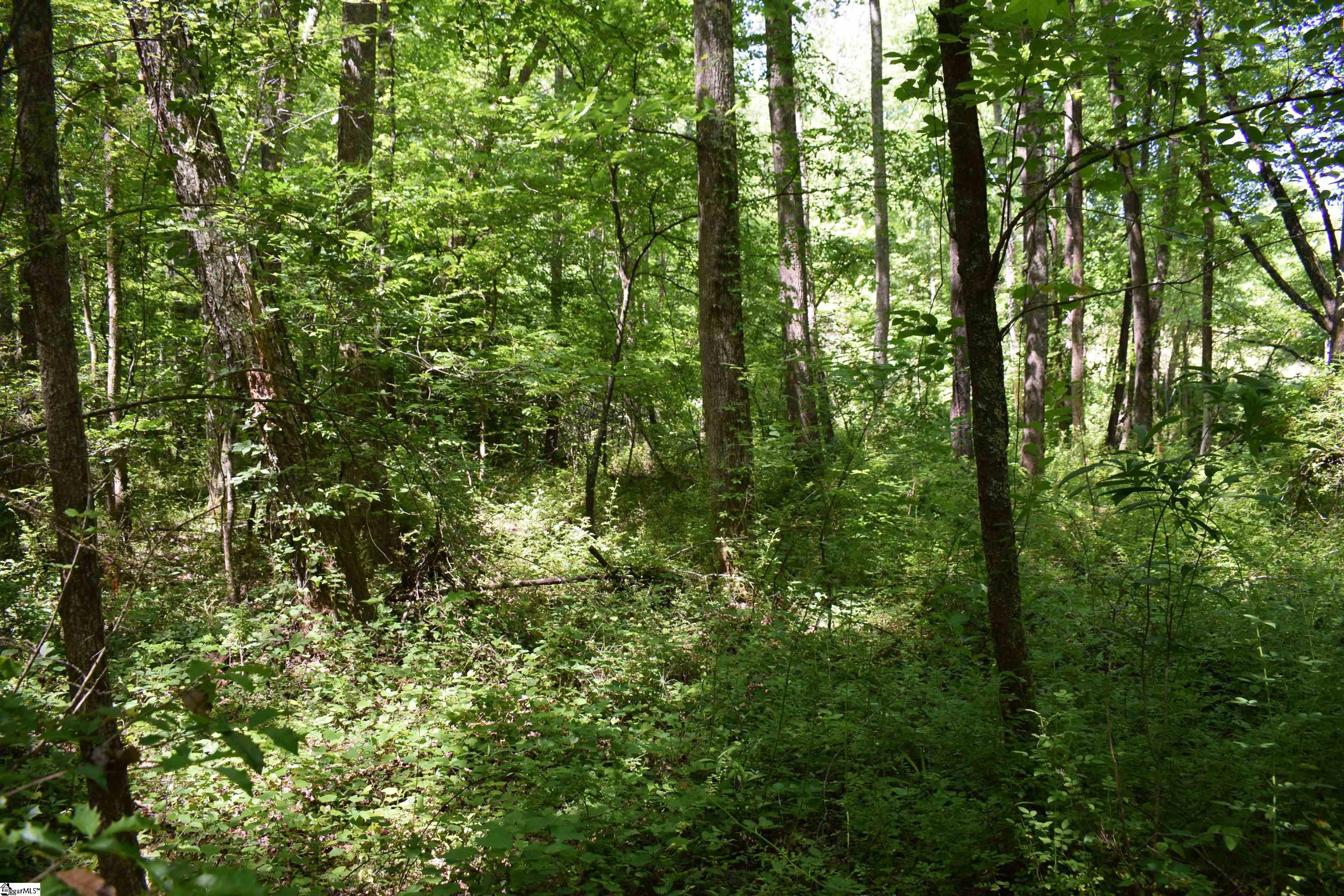 Floyd Blackwell Road Tryon, NC 28782 - Photo 11 of 27