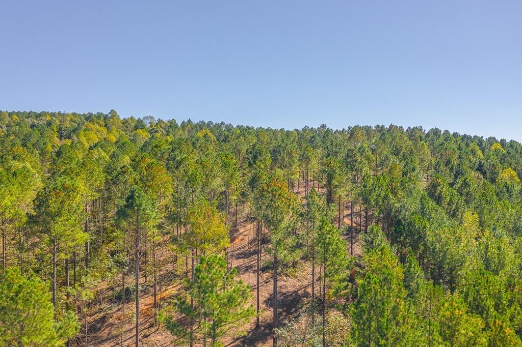 Lot 39 Crow Road Dalton, GA 30721 - Photo 3 of 6 3