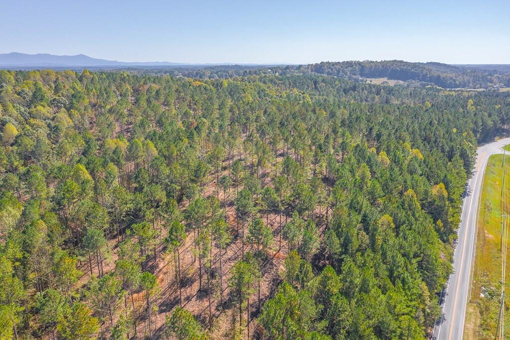 Lot 39 Crow Road Dalton, GA 30721 - Photo 5 of 6 5