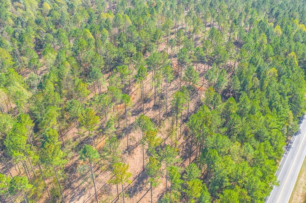 Lot 39 Crow Road Dalton, GA 30721 - Photo 6 of 6 6