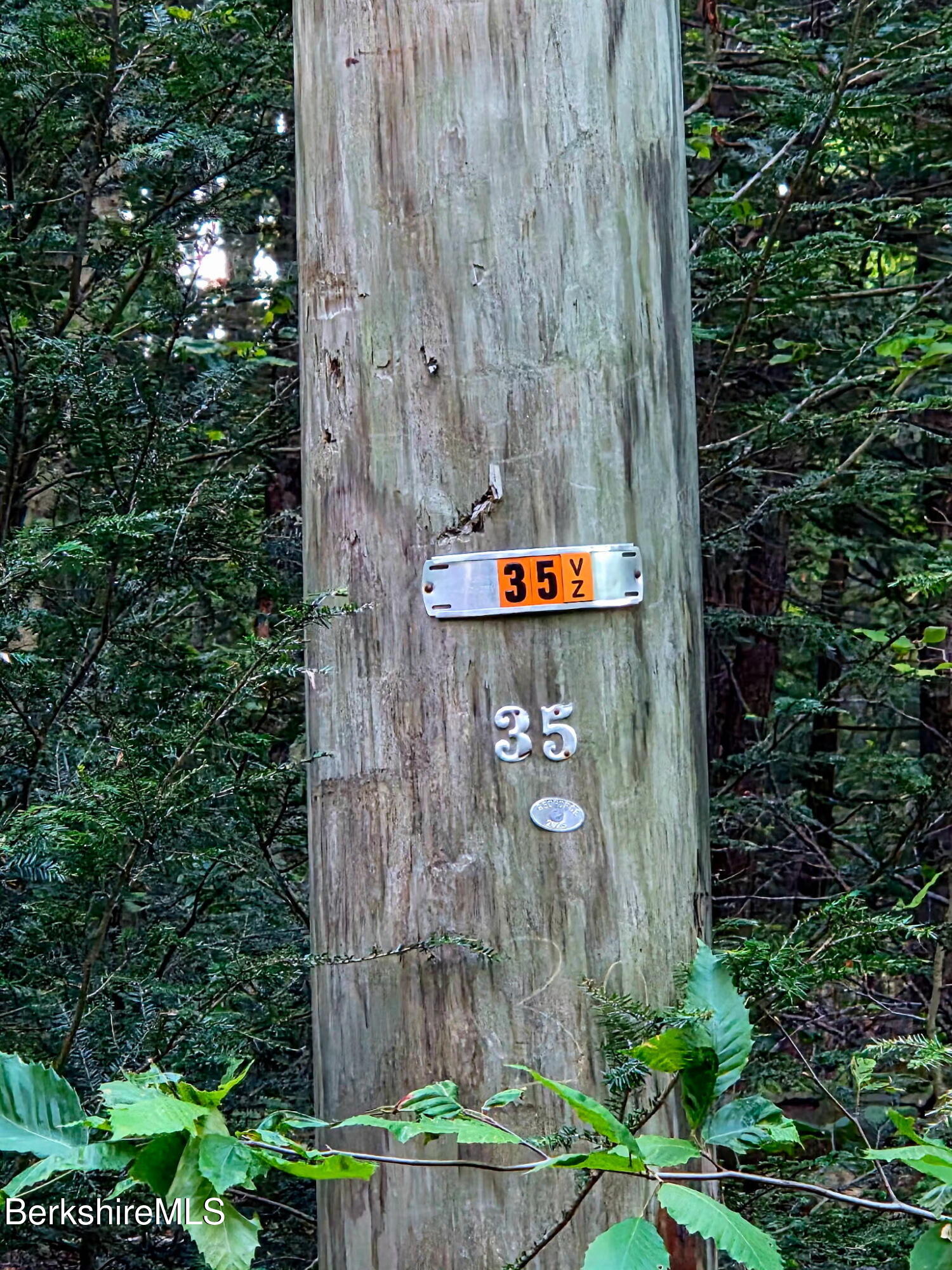 0 Moberg Road Becket, MA 01223 - Photo 11 of 12 Pole 35 Property Line.heic