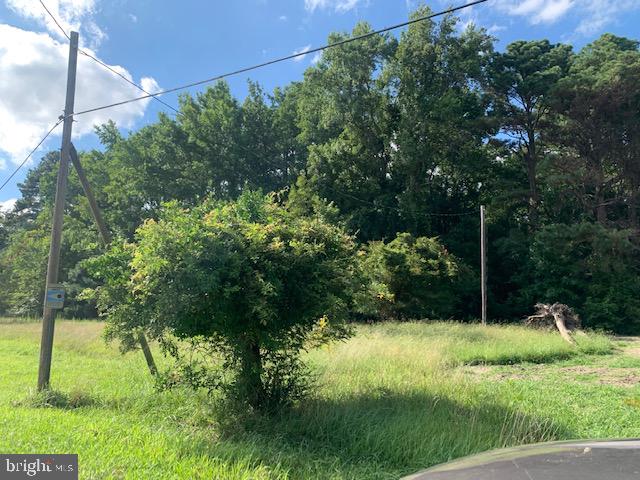 22268 Wetipquin Road Quantico, MD 21856 - Photo 3 of 4 Power lines available