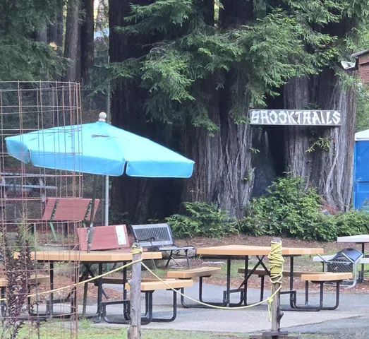 a view of backyard with green space and fountain