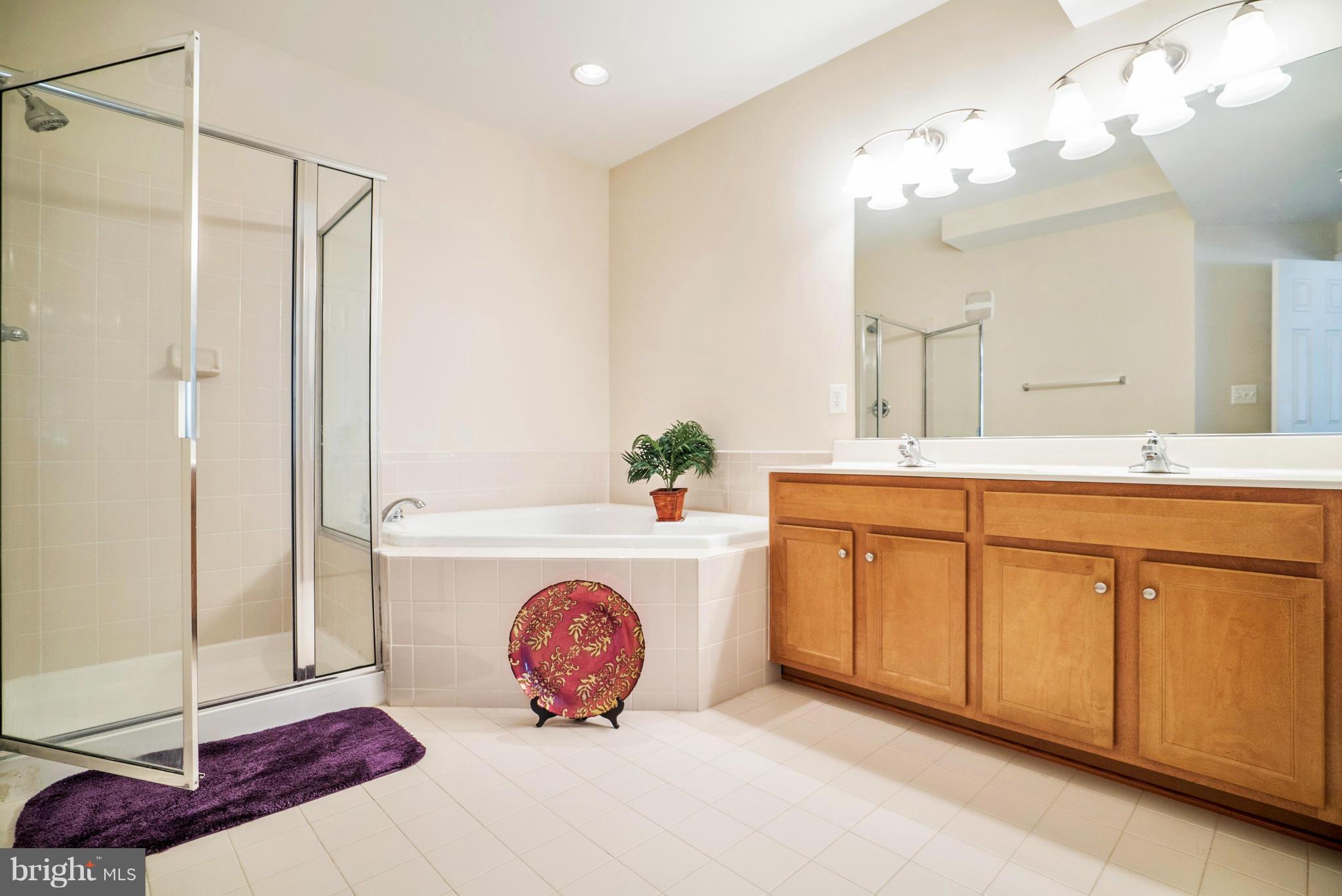 14873 Cloverdale Road, Unit 78 Woodbridge, VA 22193 - Photo 19 of 30 Bath (Master)