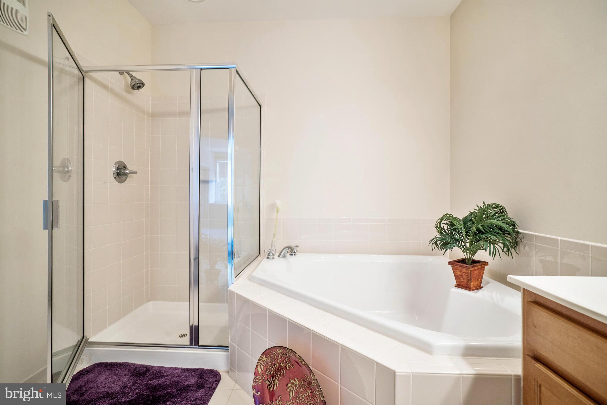 14873 Cloverdale Road, Unit 78 Woodbridge, VA 22193 - Photo 21 of 30 Bath (Master)