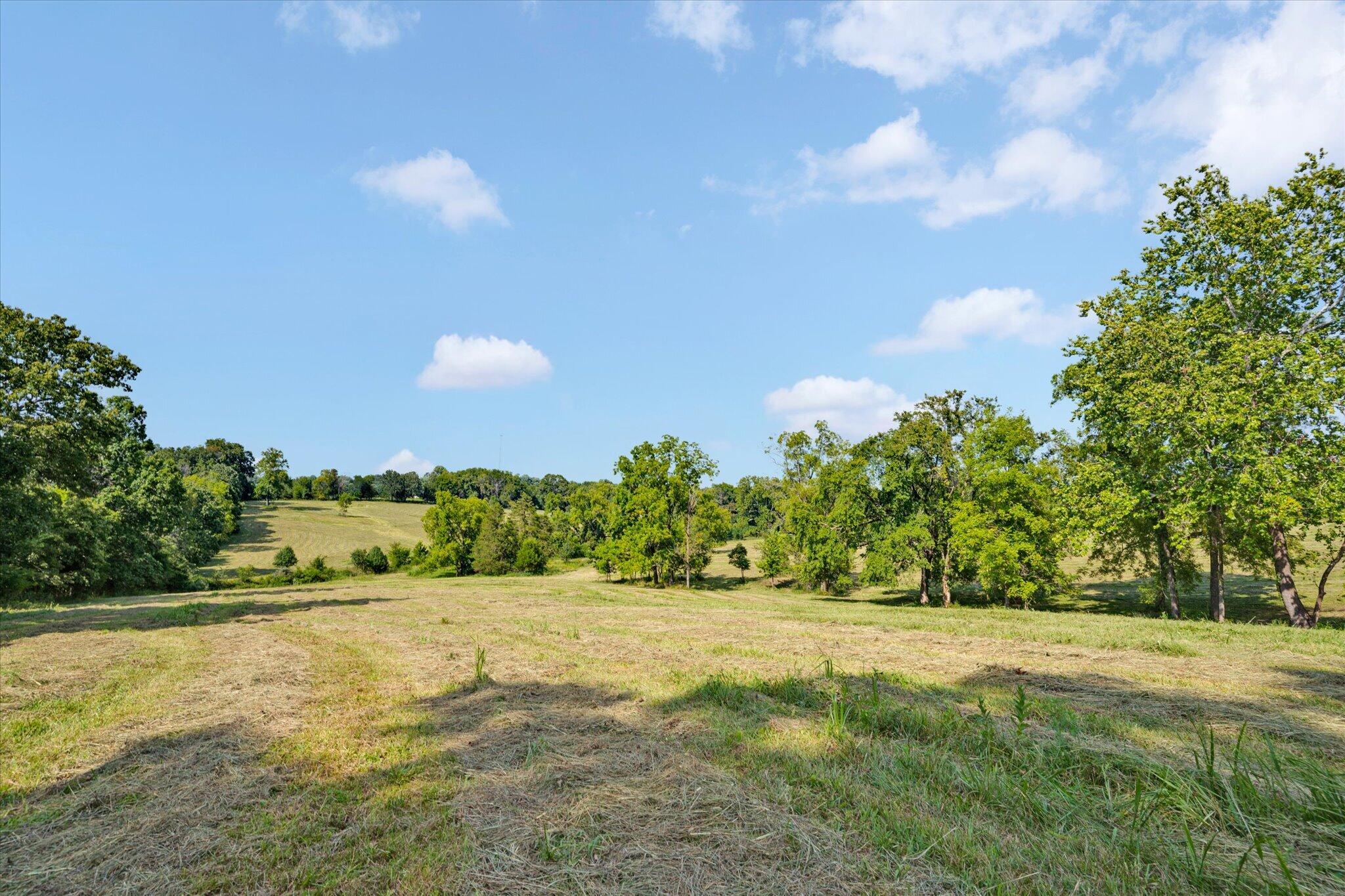 0 West Rosedale Road Nixa, MO 65714 - Photo 5 of 10 Aerial View