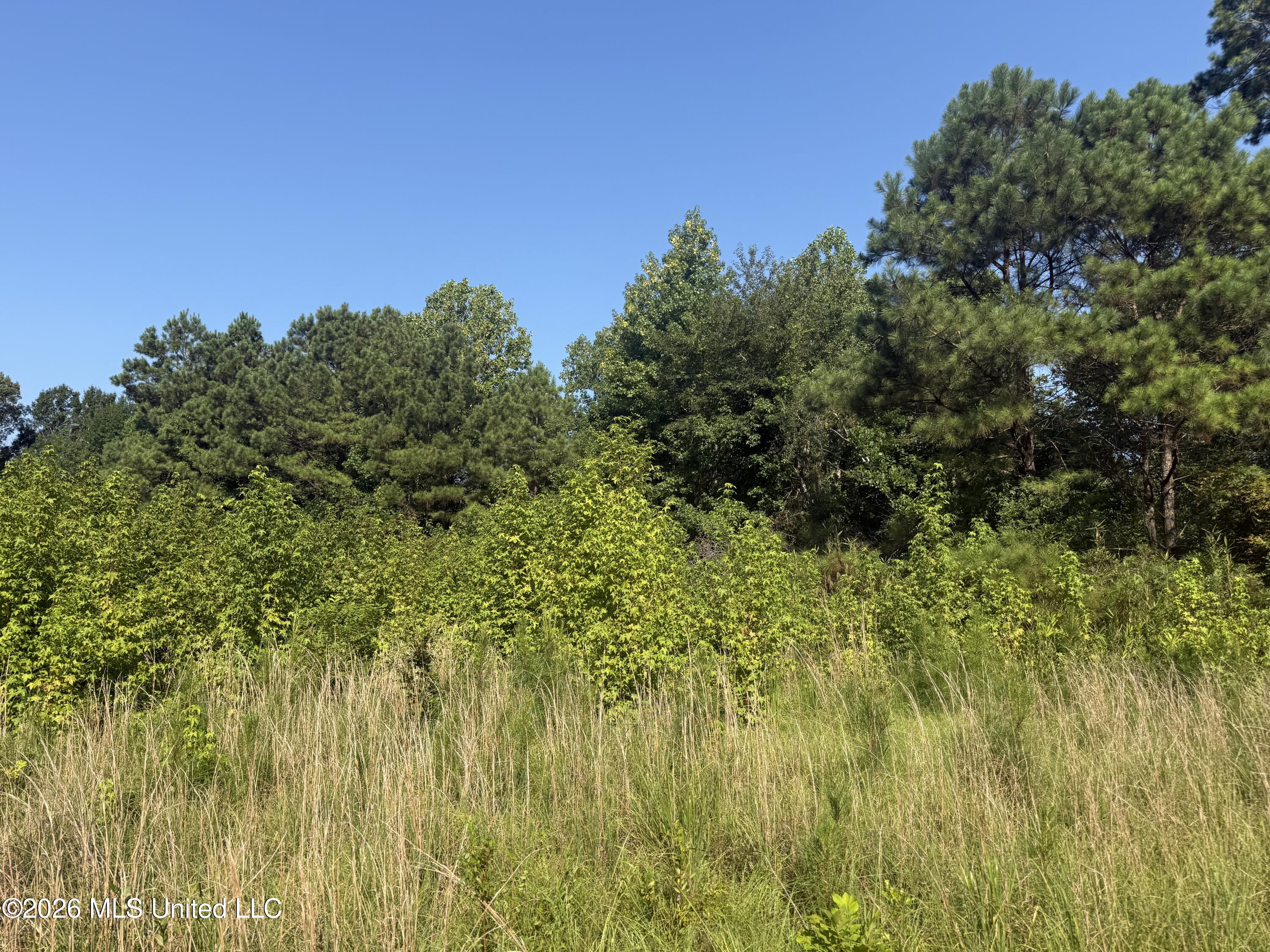 Joe Hall Road Flora, MS 39071 - Photo 3 of 8 IMG_3793