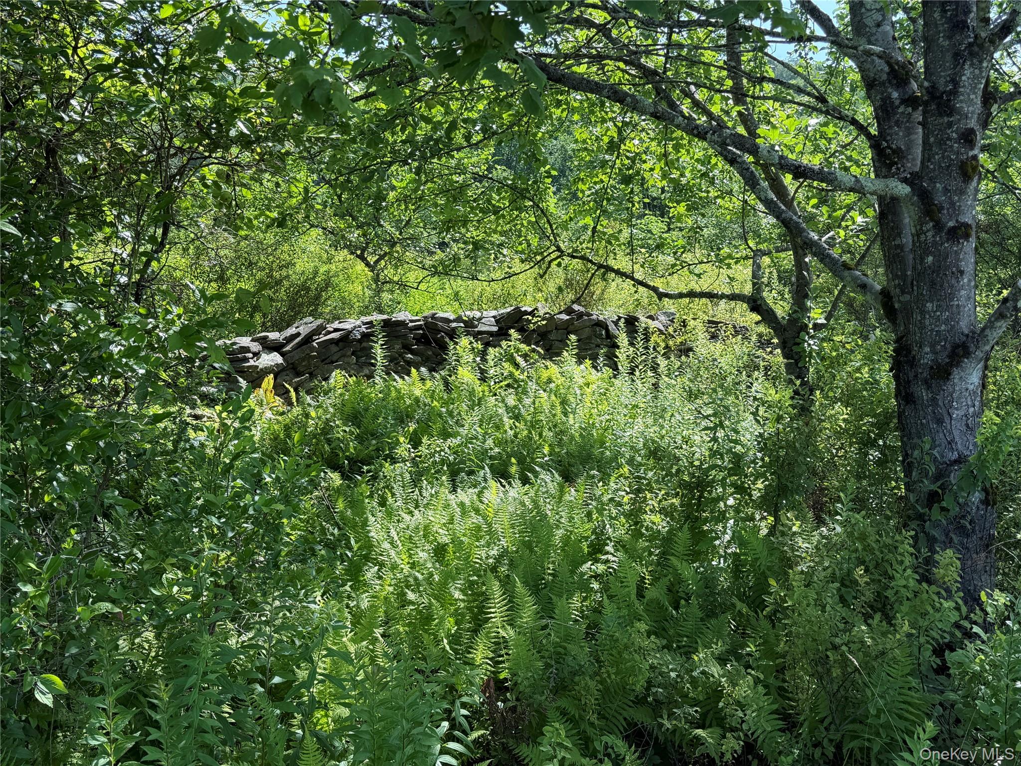 Bert Medlar Road Hancock, NY 13783 - Photo 2 of 17