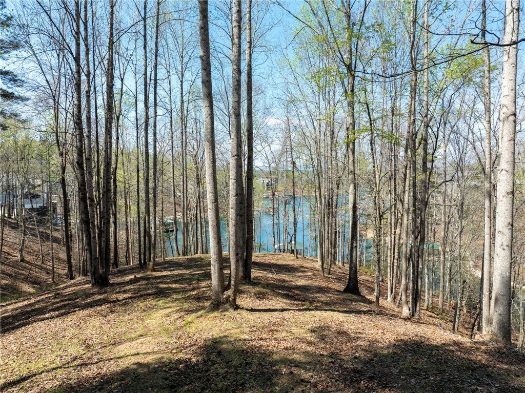 Lot 188 Stonekeep Lane Six Mile, SC 29682 - Photo 5 of 23