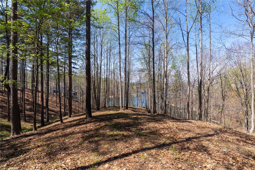 Lot 188 Stonekeep Lane Six Mile, SC 29682 - Photo 6 of 23