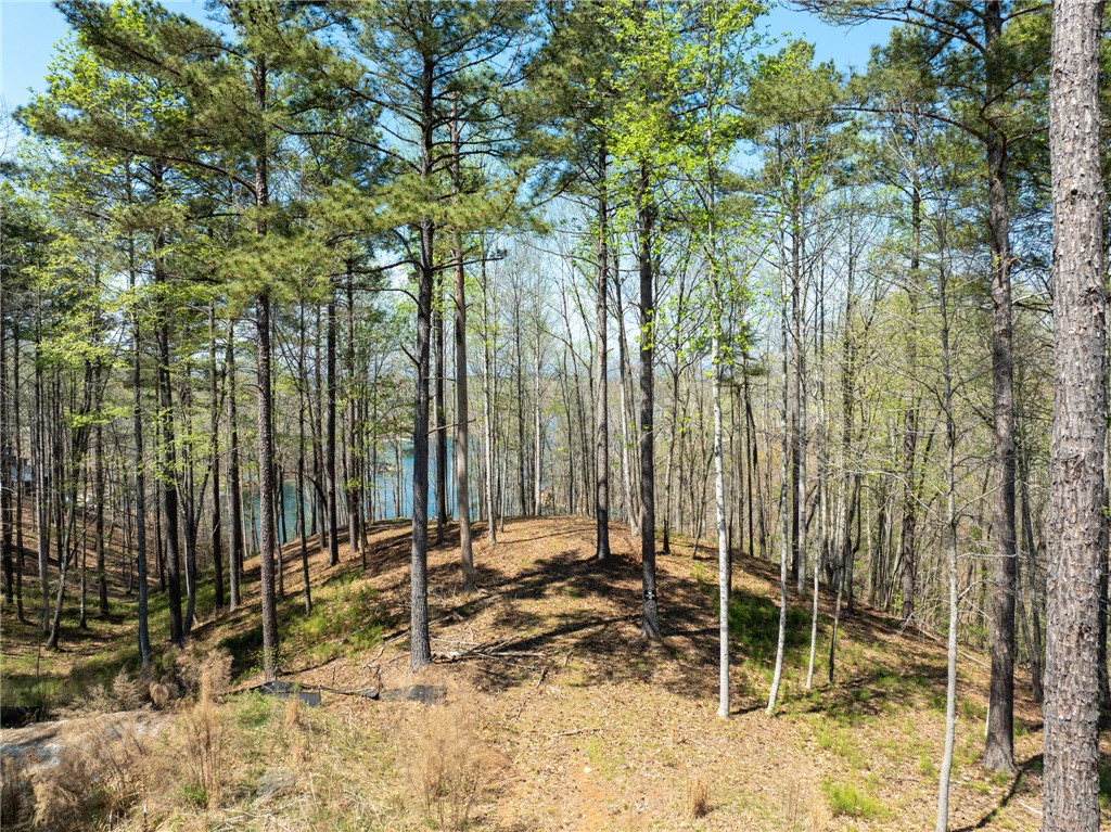 Lot 188 Stonekeep Lane Six Mile, SC 29682 - Photo 7 of 23