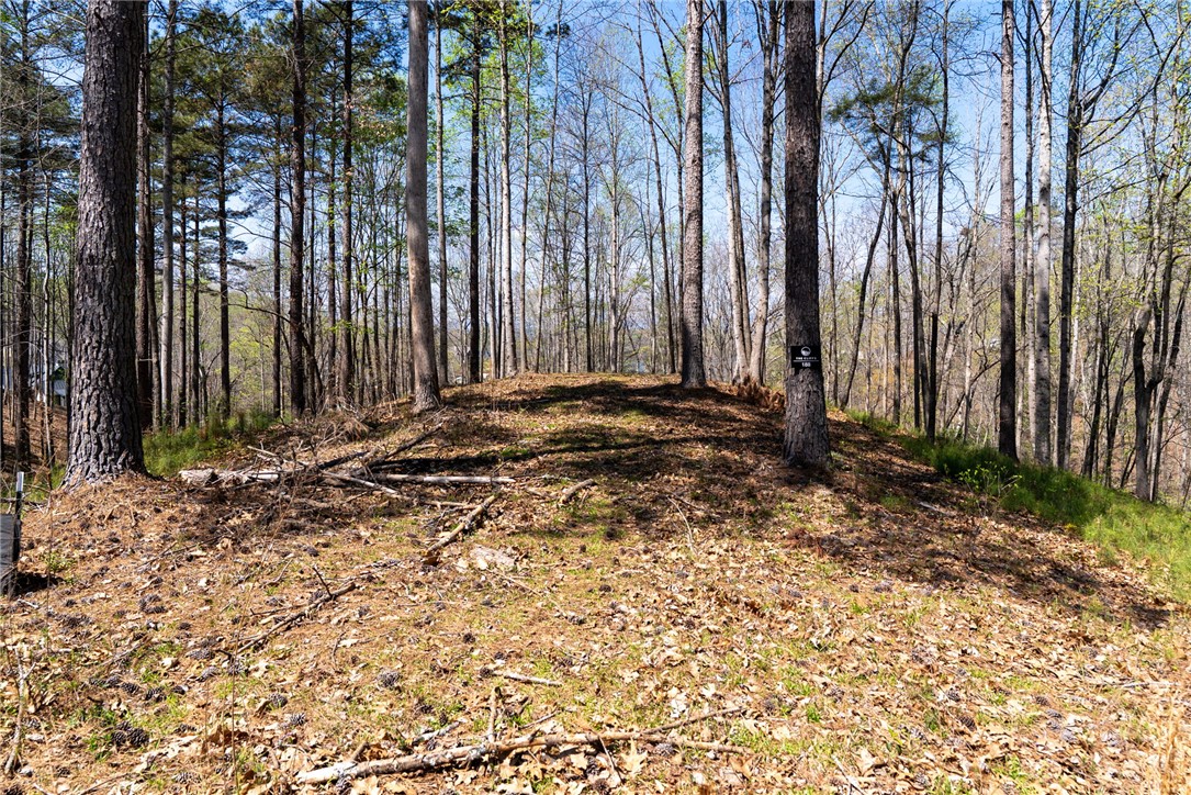 Lot 188 Stonekeep Lane Six Mile, SC 29682 - Photo 8 of 23