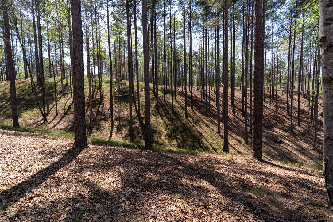 Lot 188 Stonekeep Lane Six Mile, SC 29682 - Photo 9 of 23