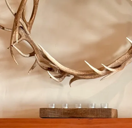 $1,390,000 | 14801 Vaira Ranch Road, Drytown, CA 95699