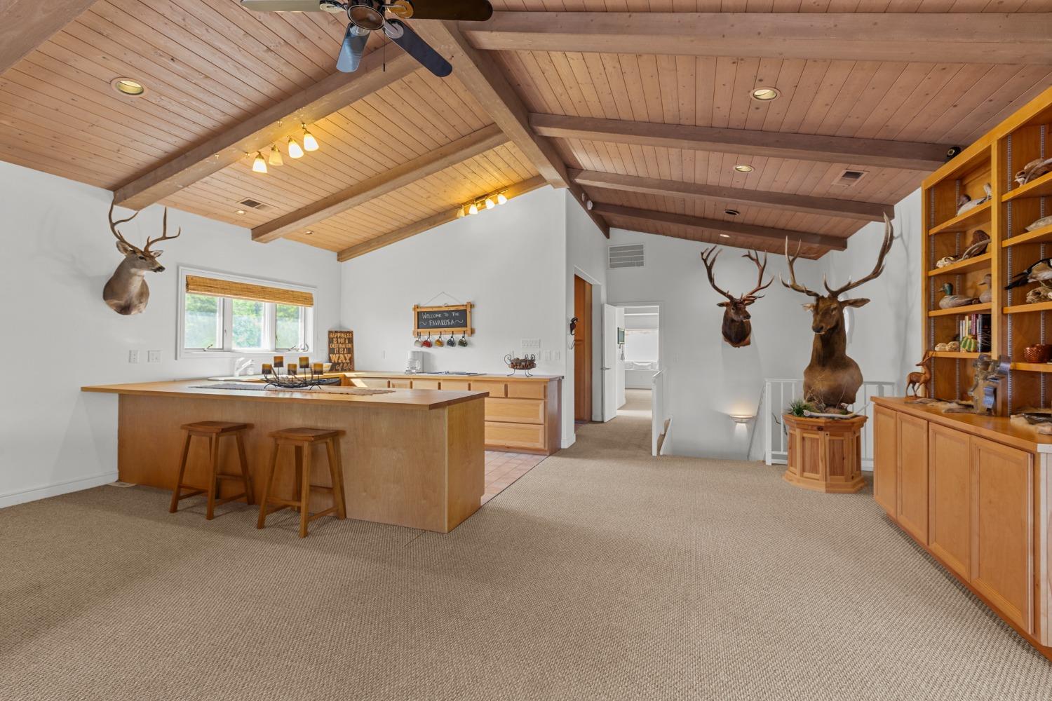 14801 Vaira Ranch Road Drytown, CA 95699 - Photo 41 of 73
