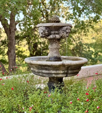 $1,390,000 | 14801 Vaira Ranch Road, Drytown, CA 95699