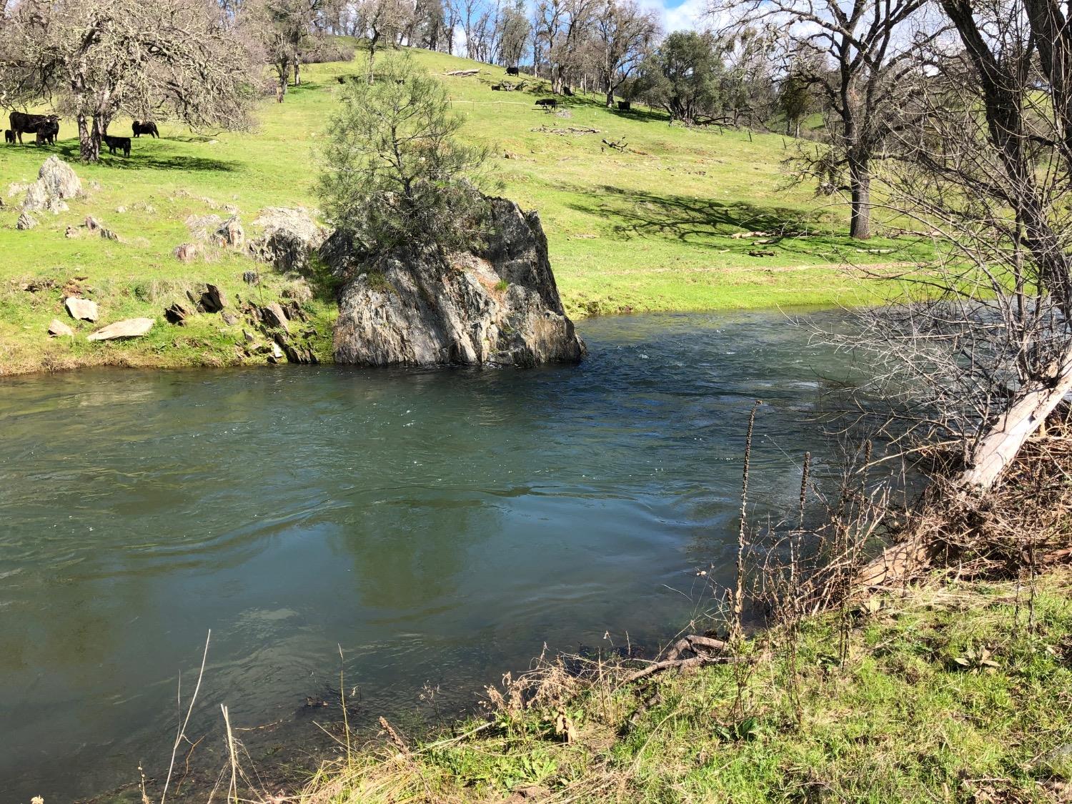 14801 Vaira Ranch Road Drytown, CA 95699 - Photo 7 of 73 Dry Creek- your very own swimming hole.