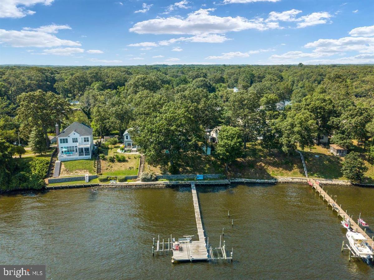 341 Steedman Point Road Pasadena, MD 21122 - Photo 6 of 42 Large Pier w.2 Boat Lifts