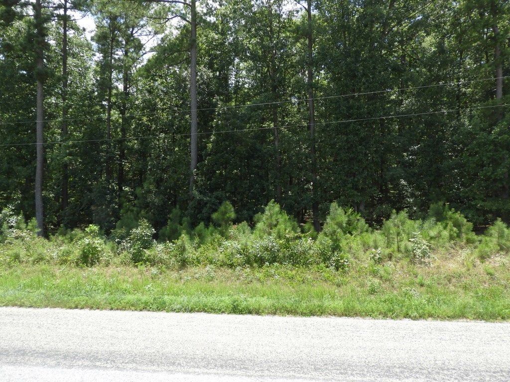 668 Berry Road, Unit 13 Brodnax, VA 23920 - Photo 14 of 15 Gallery Image 14