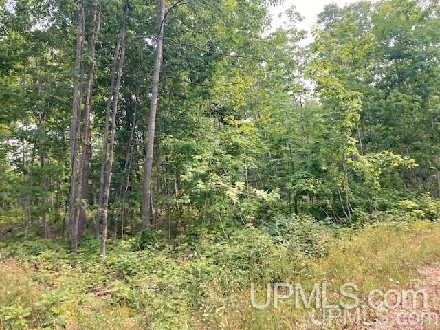 Tbd Old Mill Road Toivola, MI 49965 - Photo 3 of 25 Gallery Image 3