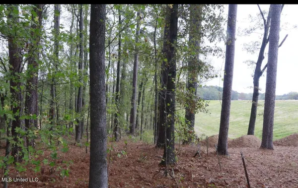 $99,000 | 0 Westline Drive, Madison, MS 39110