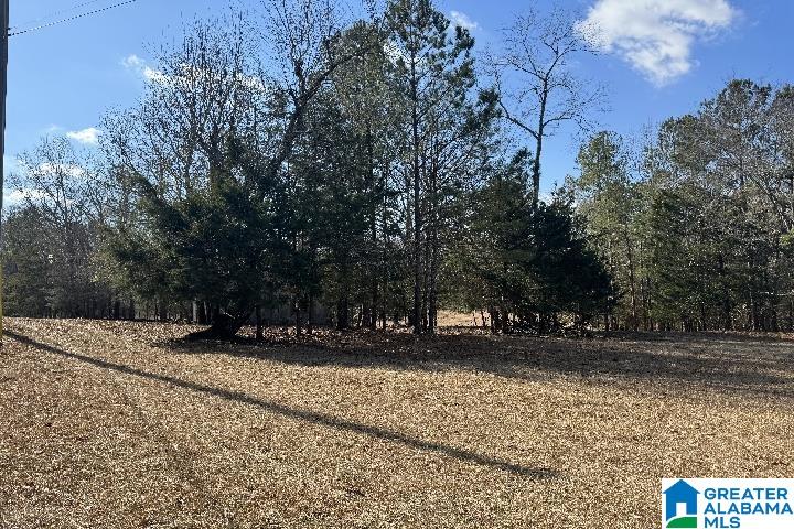 1036 Rushing Springs Road Lincoln, AL 35096 - Photo 3 of 58