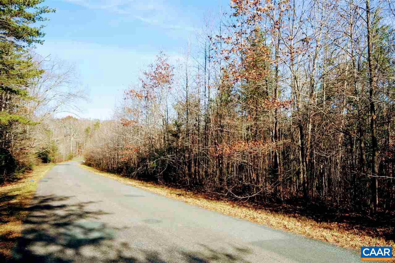 Tbd Lowry Road Columbia, VA 23038 - Photo 18 of 41