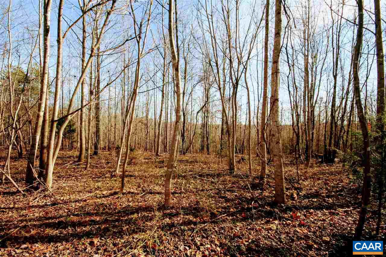 Tbd Lowry Road Columbia, VA 23038 - Photo 24 of 41