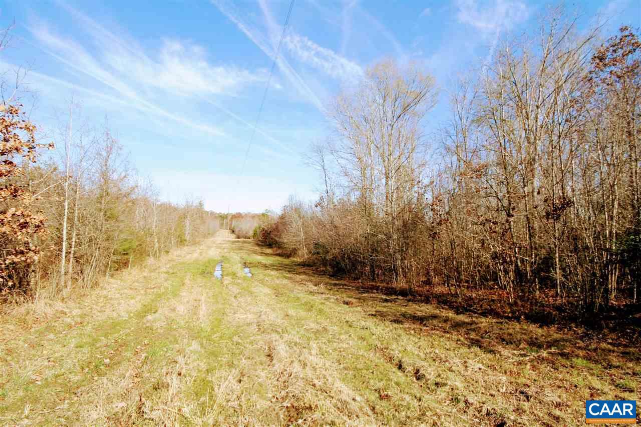 Tbd Lowry Road Columbia, VA 23038 - Photo 28 of 41