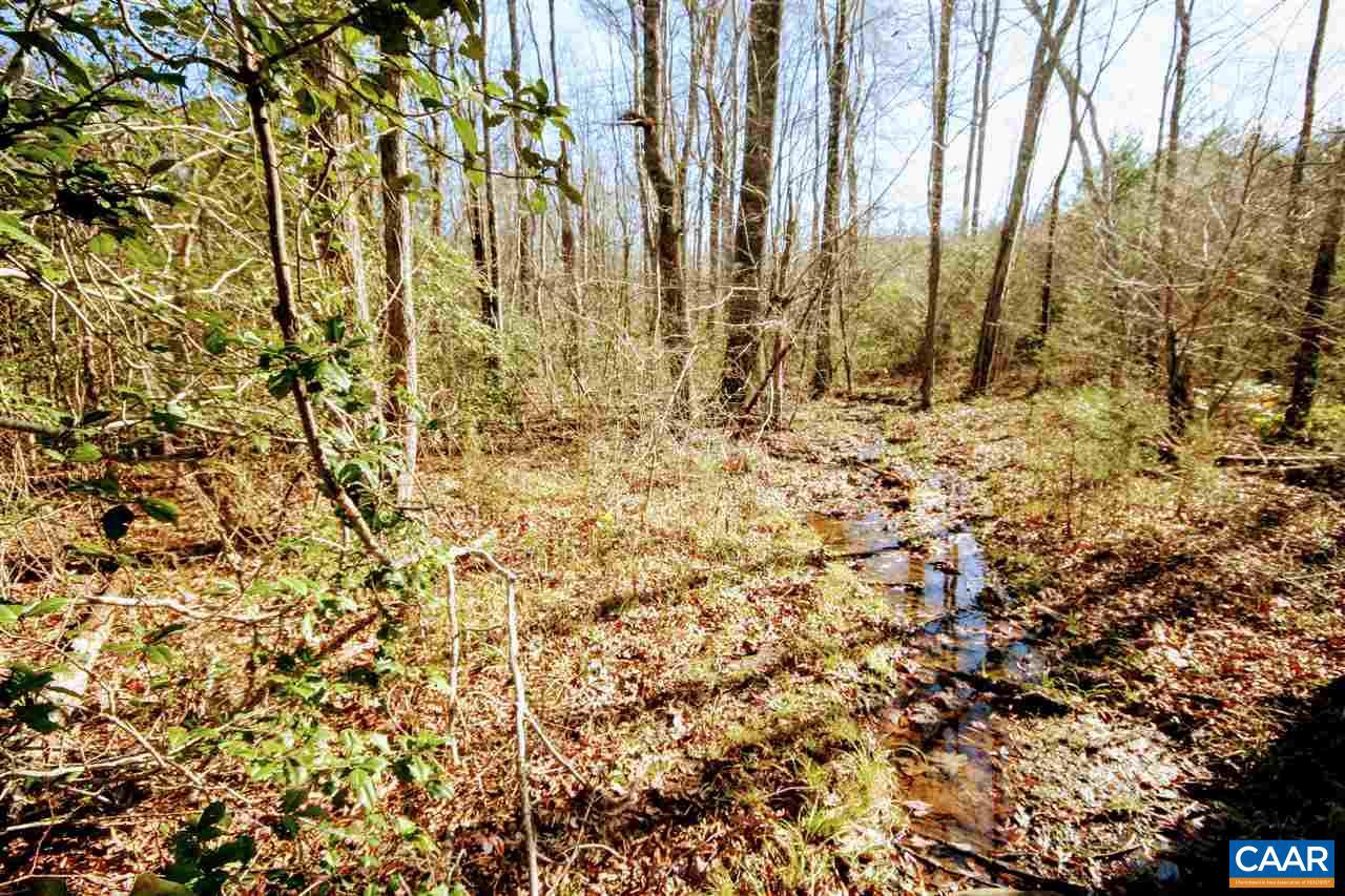 Tbd Lowry Road Columbia, VA 23038 - Photo 29 of 41