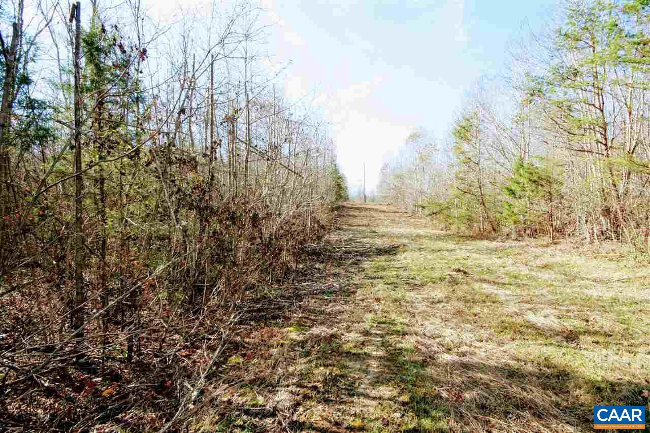 Tbd Lowry Road Columbia, VA 23038 - Photo 34 of 41