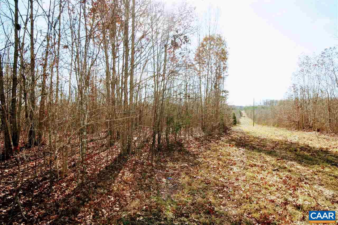 Tbd Lowry Road Columbia, VA 23038 - Photo 35 of 41