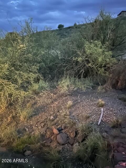 15425 East Upper Ridge Lane, Unit 411 Mayer, AZ 86333 - Photo 20 of 29 a view of a field with an trees