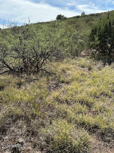 15425 East Upper Ridge Lane, Unit 411 Mayer, AZ 86333 - Photo 27 of 29 a view of a field with an ocean and mountain view