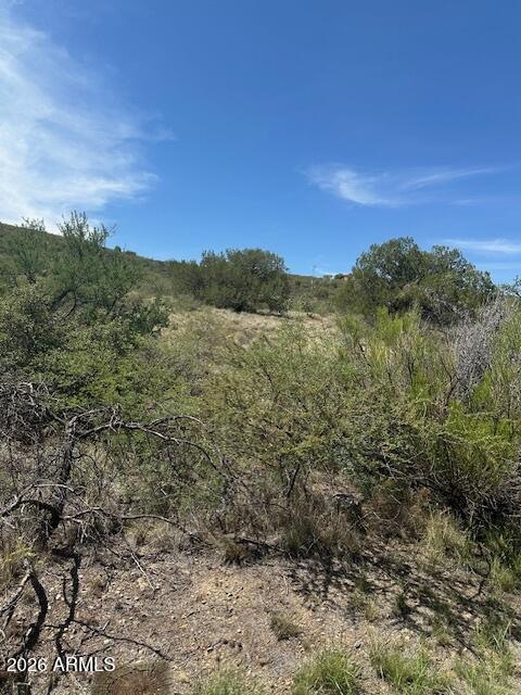 15425 East Upper Ridge Lane, Unit 411 Mayer, AZ 86333 - Photo 28 of 29 a view of a forest with a mountain in the background