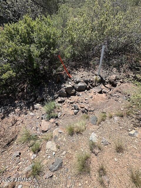 15425 East Upper Ridge Lane, Unit 411 Mayer, AZ 86333 - Photo 29 of 29 a view of a dry yard with trees