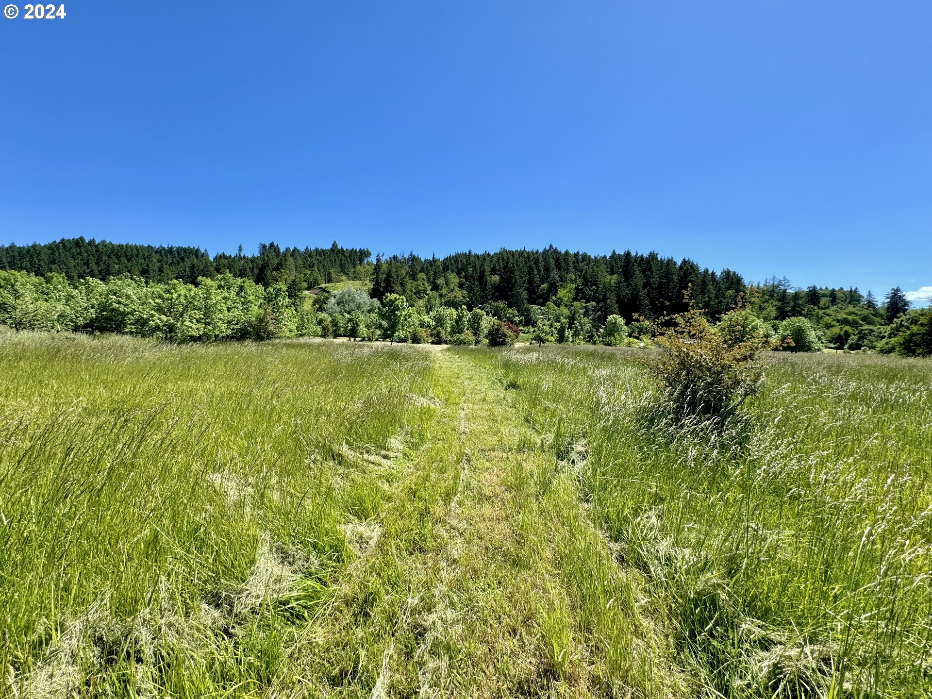 1463 Southside Road Sutherlin, OR 97479 - Photo 40 of 48 a view of a lush green space with a lake view