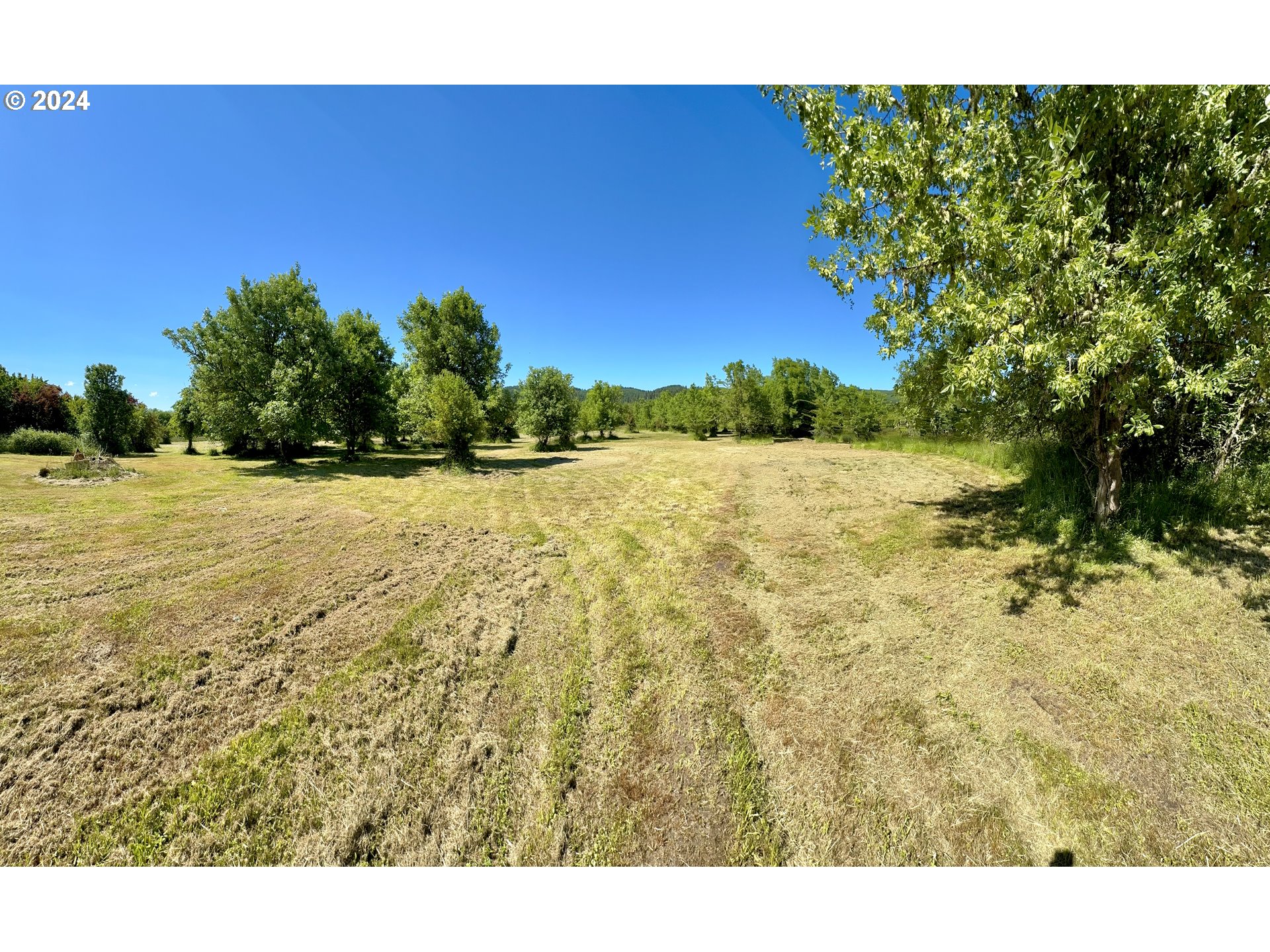 1463 Southside Road Sutherlin, OR 97479 - Photo 41 of 48 a view of an outdoor space and a yard