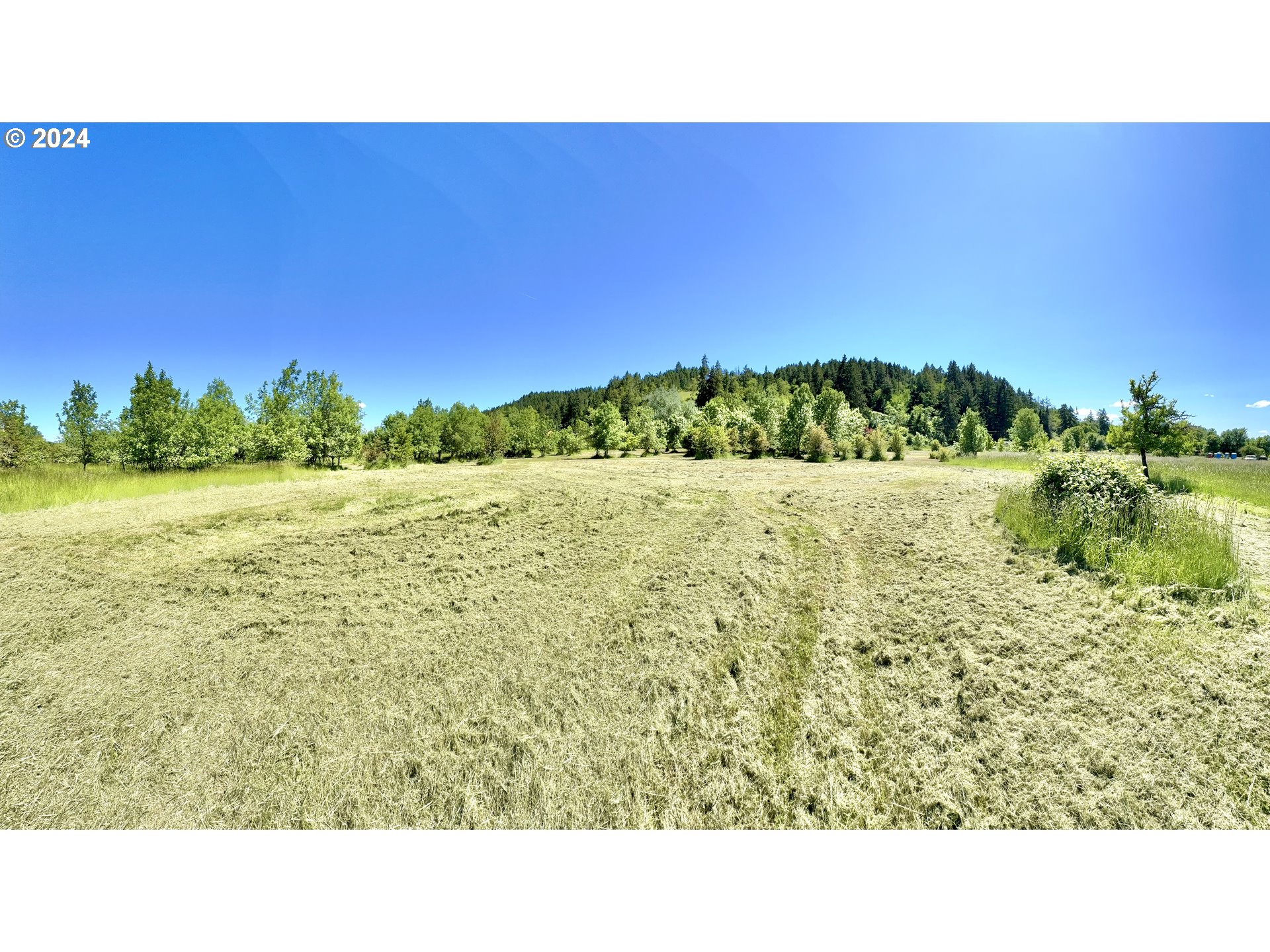 1463 Southside Road Sutherlin, OR 97479 - Photo 42 of 48 a open area with a yard
