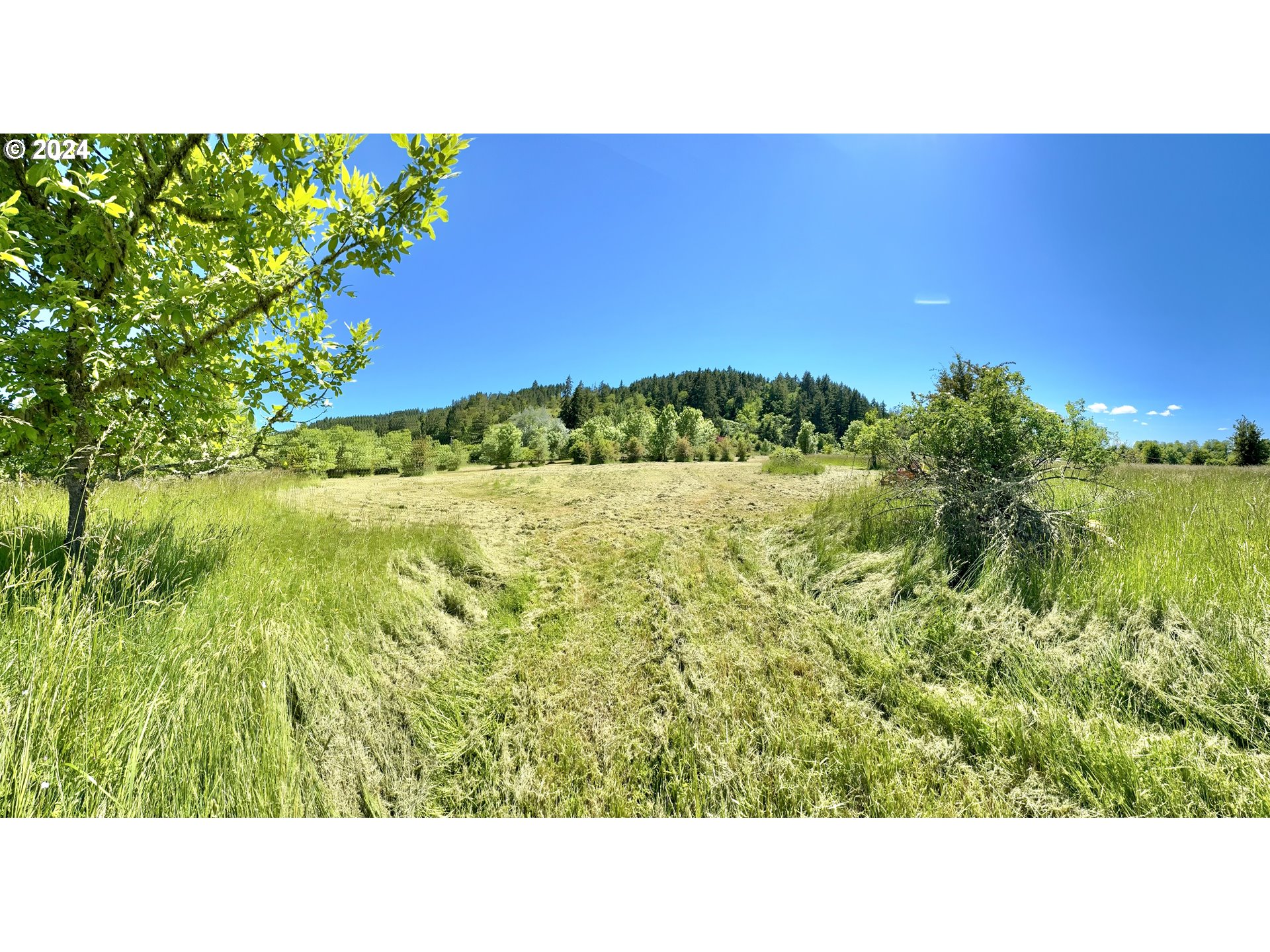 1463 Southside Road Sutherlin, OR 97479 - Photo 44 of 48 a black and white photo of a field